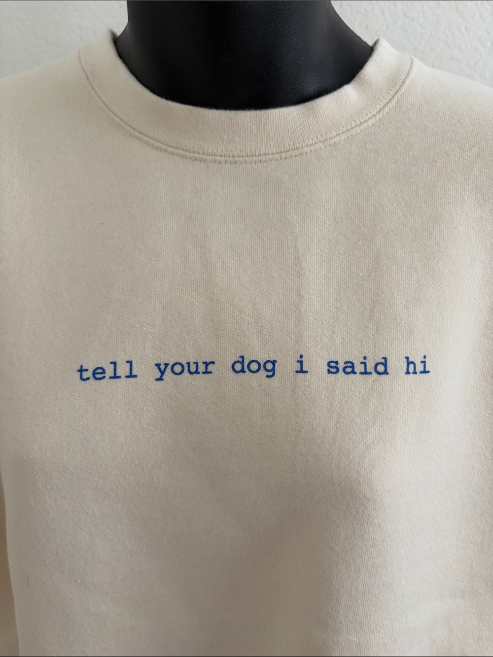 ‘Tell your dog I said hi’ Embroidered Cream Crewneck Sweatshirt, size M